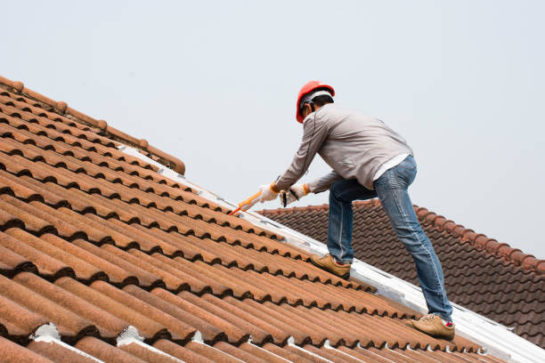 Best Roof Inspection  in Pearisburg, VA